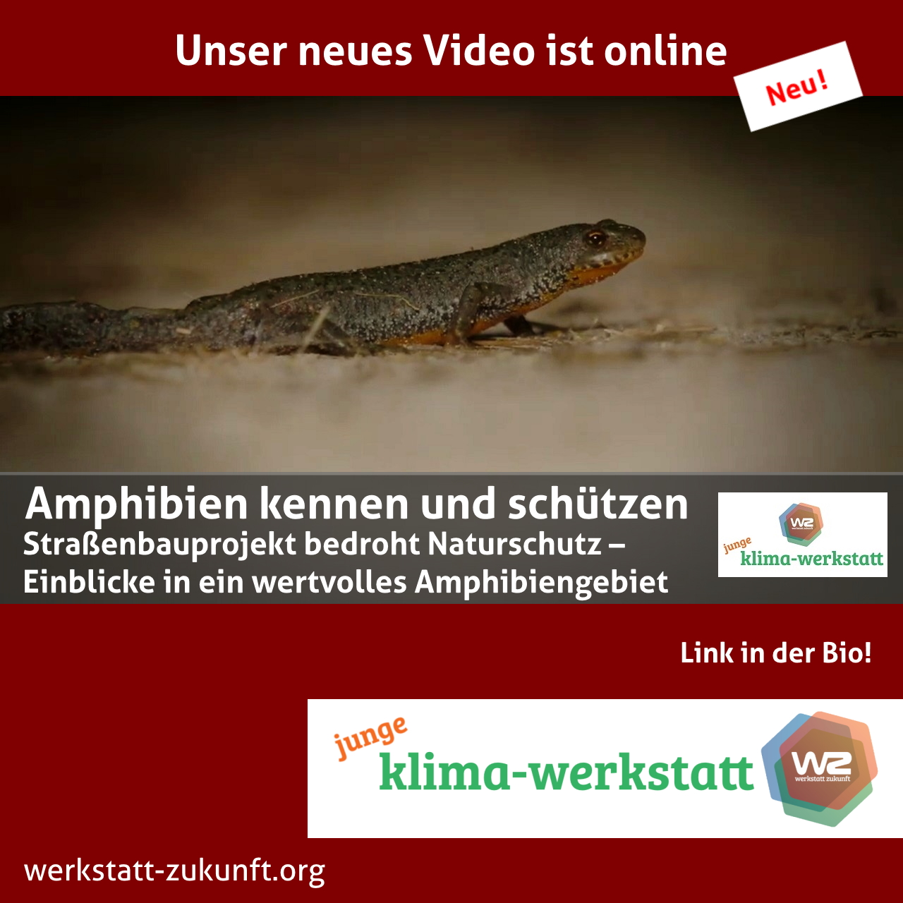 Website
